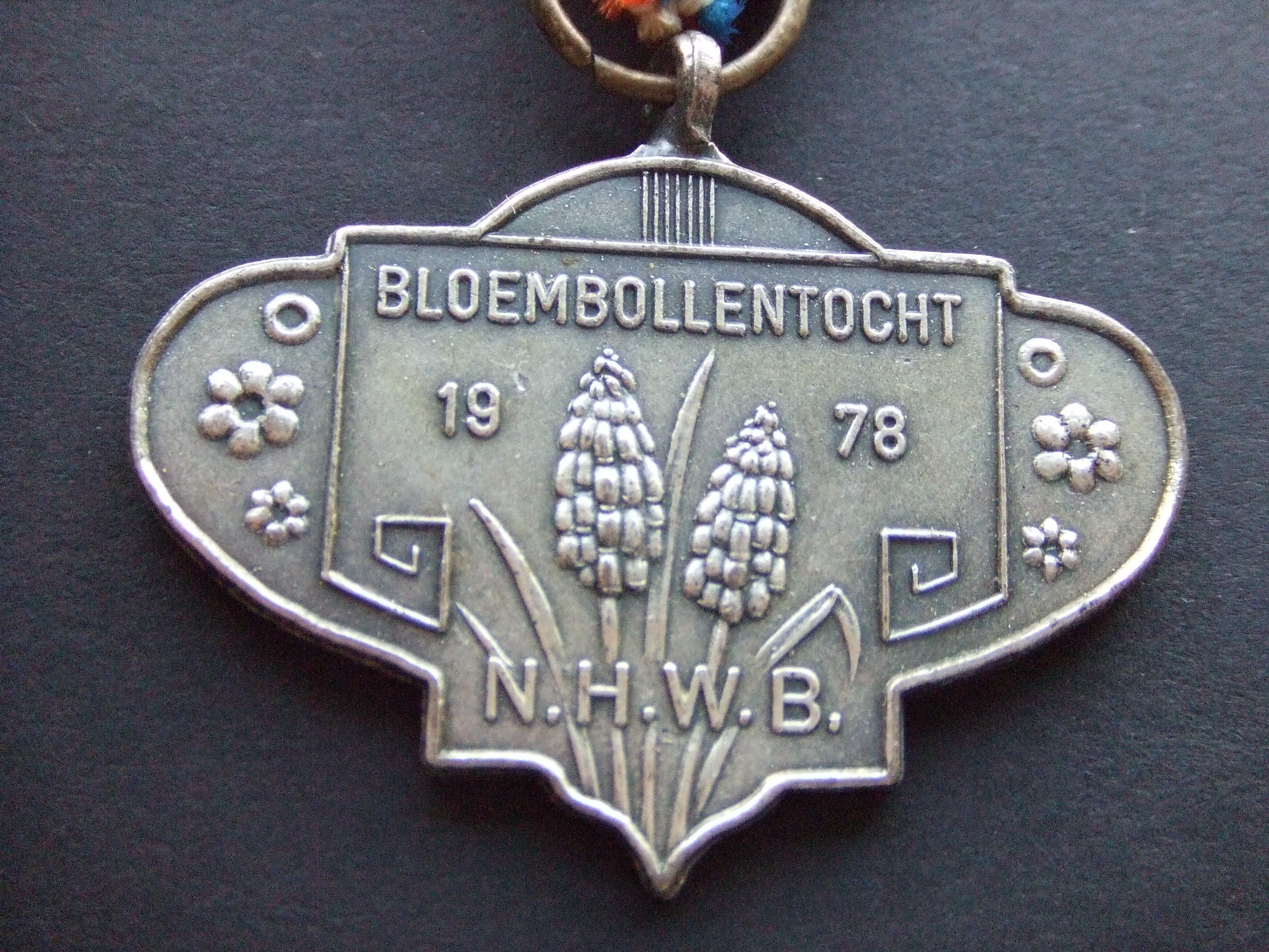 N.H.W.B.(Noord-Hollandse Wandelbond) bloembollentocht 1978, Blauwe druifjes